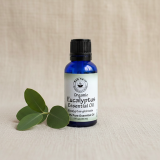 Organic Eucalyptus Essential Oil - Rosemary Style