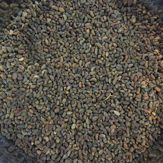 Nu Zhen Zi - 14 grams minimum (14g = 1/2oz)