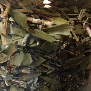 Pipsissewa - 14 grams minimum (14g=1/2oz)