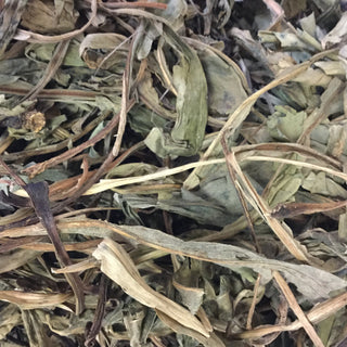 Deer Tongue Leaf