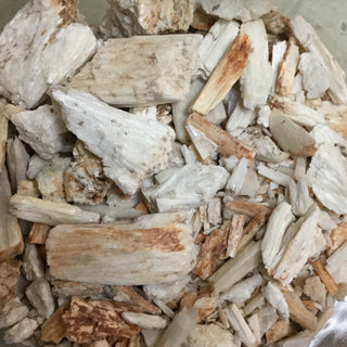 Yang Qi Shi (1/2 Oz minimum =14g)