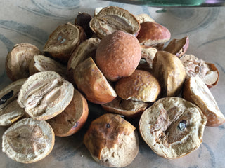 Chuan Lian Zi — 14 grams minimum (14g = 1/2oz)