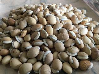 Bian Dou (Bai) — 14 grams minimum (14g = 1/2oz)