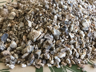 Devil's Claw (Harpagofito) - 14 grams minimum (14g = 1/2oz)
