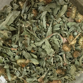 Grindelia - 14 grams minimum (14g = 1/2oz)