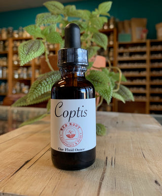 Coptis (Huang Lian)