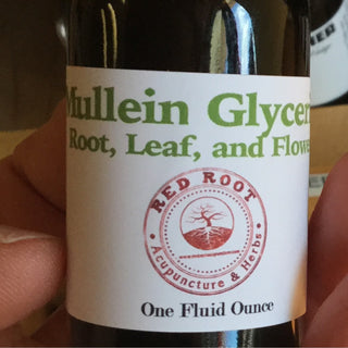 Mullein Glycerite