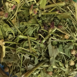 Yerba de la Negrita 14g minimum (14g = 1/2oz)
