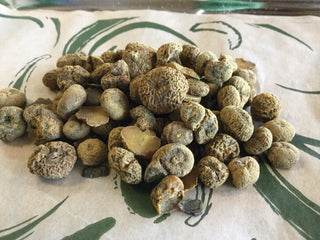 Corydalis- Yan Hu Suo-14g minimum (14g = 1/2oz)