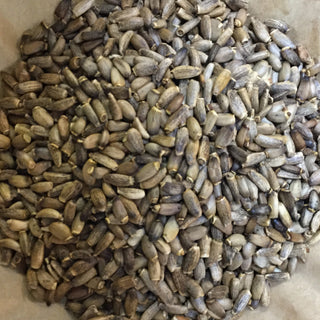 Milk Thistle Seed (whole) - 14g minimum (14g = 1/2oz)