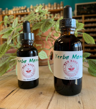 Yerba Mansa