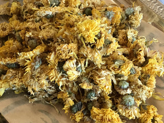 Chrysanthemum- Ju Hua-14 grams minimum (14g = 1/2oz)