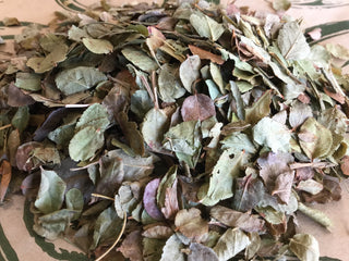 Bilberry Leaf— 14 grams minimum (14g = 1/2oz)
