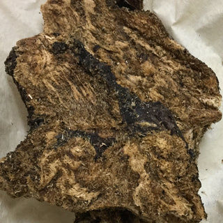 Lomatium Root 14g minimum (14g =1/2oz)