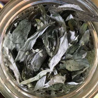 California Mugwort 14g minimum (14g = 1/2oz)