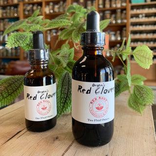 Red Clover Tincture