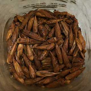 Balm of Gilead — 14 grams minimum (14g = 1/2oz)