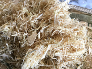 Bamboo Shoots — 14 grams minimum (14g = 1/2oz)