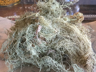 Usnea - 14 grams minimum (14g = 1/2oz)