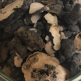 Zhu Ling (1/2 Oz minimum =14g)