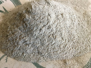 Bacopa Powder (Brahmi)- 14 grams minimum (14g=1/2oz)