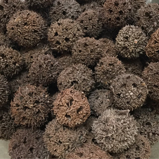 Lu Lu Tong (sweet gum) - 14g minimum (14g=1/2oz)