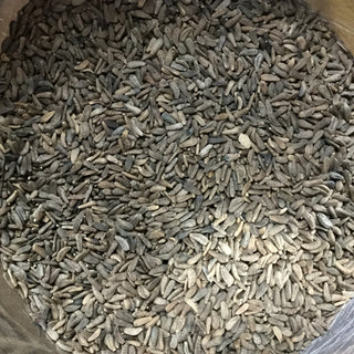 Niu Bang Zi - 14 grams minimum (14g = 1/2oz)