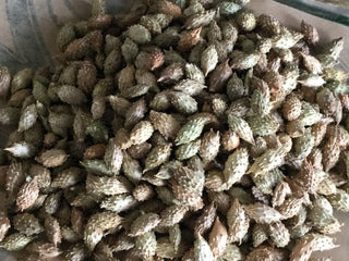 Cang Er Zi — 14 grams minimum (14g = 1/2oz)
