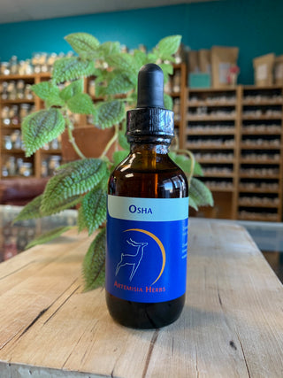 Osha tincture Artemisa Herbs