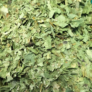 Yerba Mansa Leaf - 14 grams minimum (14g = 1/2oz)