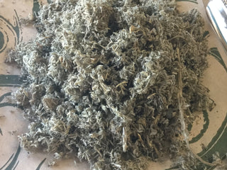 Wormwood (Artemisia scoparie)—14 grams minimum (14g = 1/2oz)
