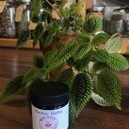 Boobie Balm