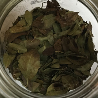 Yaupon (Regular) - 14 grams minimum (14g = 1/2oz)