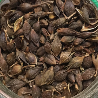 Lian Qiao 14g minimum (14g = 1/2oz)