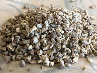 Elecampane Root — 14 grams minimum (14g = 1/2oz)