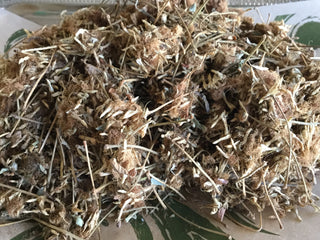Mimosa Flower - 14 grams minimum (14g=1/2oz)