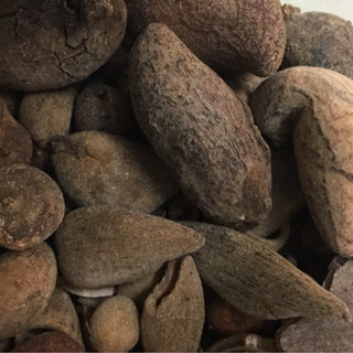 Wu Bei Zi (1/2ozminimum =14g)