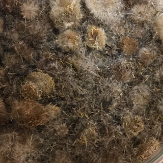 Xuan Fu Hua (1/2 Oz minimum =14g)