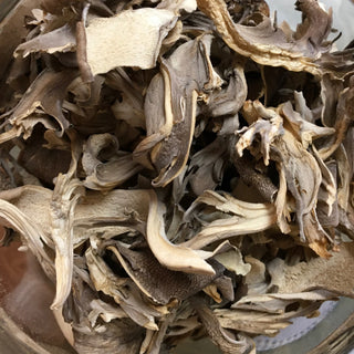 Maitake (whole) 14g minimum (14g=1/2oz)