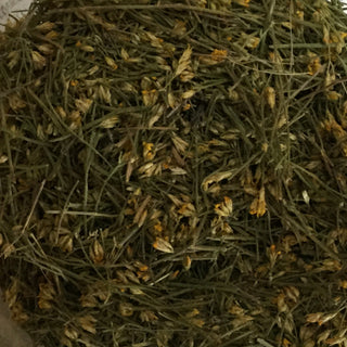Snake Weed 14g minimum (14g = 1/2oz)