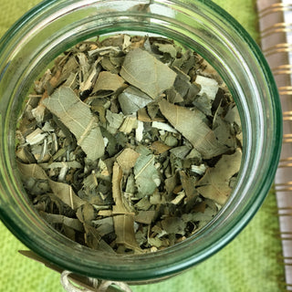 Breadfruit Leaves