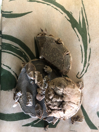 E Zhu - 14 grams minimum (14g = 1/2oz)