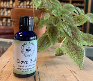 Clove Bud Essential Oil