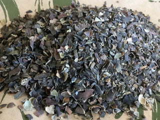 Bladder Wrack—14 grams minimum (14g = 1/2oz)