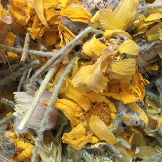 Desert marigold Baileya 14g minimum 14g =1/2 oz