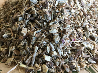 Echinacea (angustifolia) Root 14g minimum (14g=1/2oz)