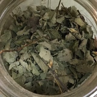 Zacatechichi - 14 grams minimum (14g = 1/2oz)