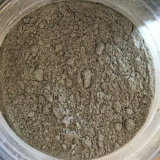 Squawvine Powder